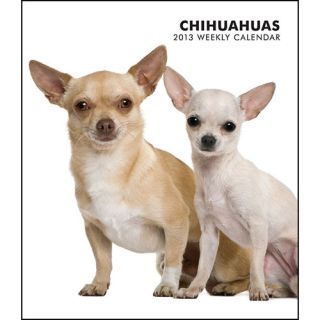 Chihuahuas 2013 Hardcover Engagement Calendar