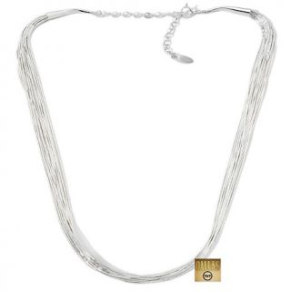 Chaco Canyon Southwest Liquid Silver 18 Necklace
