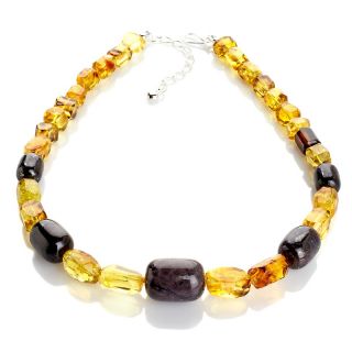 Jay King Copal and Andradite Garnet Beaded Necklace