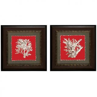 & Wall Décor Coastal Art Coral on Red 22 x 22    Set of 2 Prints
