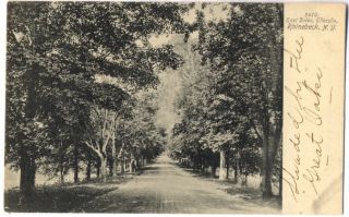 Rhinecliff NY Road to Ellerslie Postcard Rhinebeck