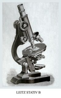 Ernst Leitz Wetzlar Antique Brass Continental Microscope Stativ B