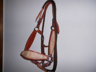 Bronc Rodeo Show Horse Halter and Lead Rope