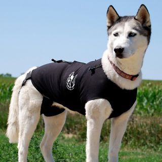 177 254 the original anxiety wrap for dogs medium size rating 20 $ 39