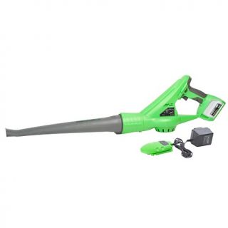 189 603 cel 18 volt cordless power leaf blower rating be the first to