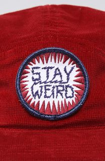 Ampal Creative The Stay Weird Camp Cap in Maroon