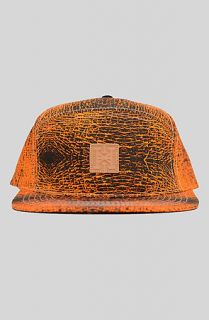 Hippo Esthetics HIPPOE SKIN 6 PANEL HYBRID SNAPBACKORANGE  Karmaloop