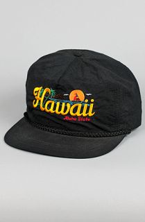 Forever Strung Vintage Hawaii Snapback