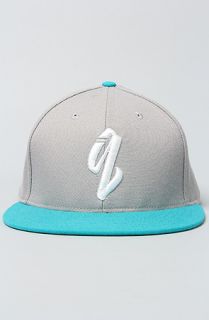 Quintin The Q Hit Snapback Hat in Gray