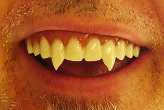 Dental Distortions NIGHTBREED Vampire Dracula Fangs Fx High Quality