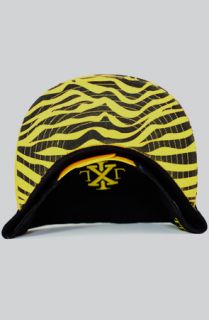  tiger stripe snapback sale $ 33 75 $ 45 00 25 % off converter share