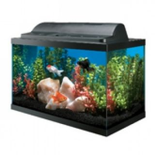 10 gallon fish tank aquarium with Hood Thermometer and Doble