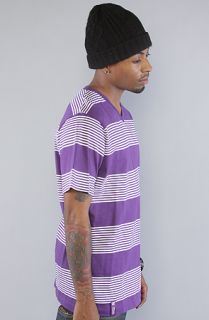 LRG Core Collection The Core Collection Striped VNeck Tee in New