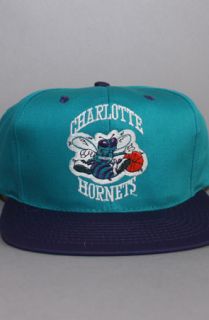 Vintage Deadstock Charlotte Hornets Snapback Hat