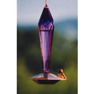 Schrodt Faceted Decorative Glass Hummingbird Feeder