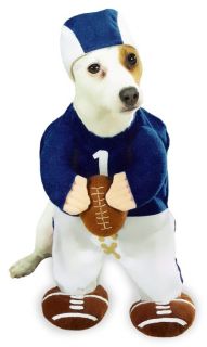 football fever dog costume small the class clown costume dog costume