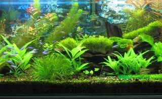 New Waterproof Aquarium Fish Tank Pool 57 LED White Light Strip Bar