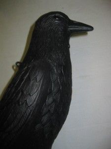 NEW Large Life Size 17 Hard Plastic Crow Decoy Flambeau Products