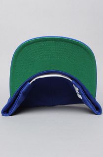 Reebok The Workout Snapback Cap in Ice