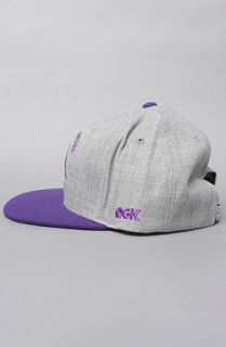 DGK The From Nothing Snapback Cap in Ash Heather Purple  Karmaloop