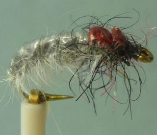 36 Artflies Bead Thorax Nymph Flies Vinyl Back Caddis Larva 6 Patterns