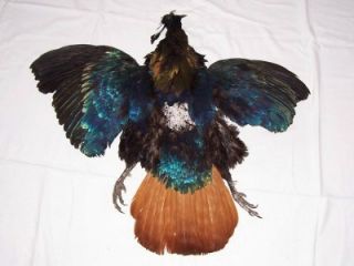 pheasant skin fly tying fishing feathers pelt crafts hat fashion