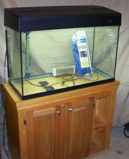 29 Gallon Fish Tank with Eclipse Hood Light Filter Solid Wood Stand
