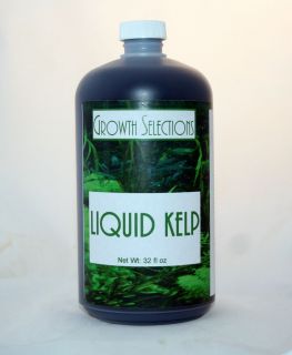 Liquid Kelp Organic Seaweed Fertilizer 1 Quart of Concentrate