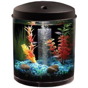 Gallon Aquarius Aquarium Kit 360 LED Complete Filter Pump Free