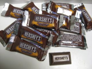 Hersheys Caramel Filled Chocolate Bars Snack Size Special Buy