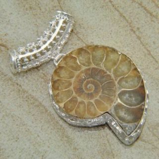 Latest Fashion Jewelry Ammonite Fossil Gemstone Pendant Silver 136ct 2