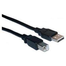  Foot USB 2 0 Hi Speed Cable for HP Canon Lexmark Epson Printer Scanner