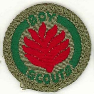  Kingdom British Scouts Boy Scout Firefighter Proficiency Badge