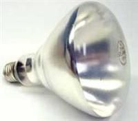 250 Watt Shatter Resistant Food Service Heat Lamp Bulb