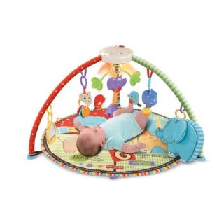 NEW Fisher Price Deluxe Musical Mobile Baby Gym Playmant Activity Play