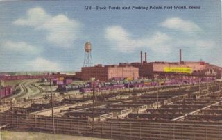 Fort Worth Texas Stockyards Packing Plants Factory Vintage Postcard