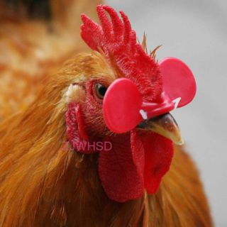 10pcs Creative Chicken Eyes Glasses Avoid Hen Peck Each Other Chicken