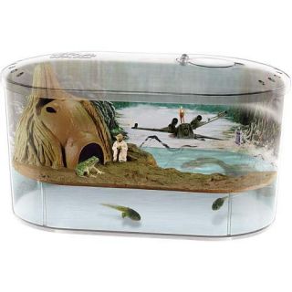  very own frog habitat and watch as your tadpoles transform into frogs