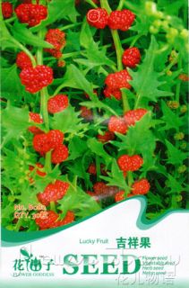 Pack 30 Fruit Seeds Lucky Fruit Seed Sweet Delicious Exquisite