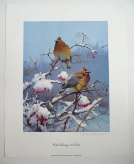 Owen Gromme Cedar Wax Wings in Winter