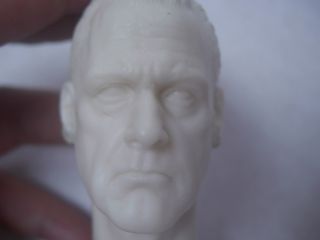  Punisher War Zone Ray Stevenson Frank Castle Head Sculpt Resin