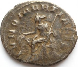 Trebonianus Gallus Scarce Antoninianus