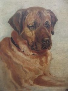 Mystery Signed Portrait of Faithful Labrador Dog 1912