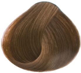 Goldwell Topchic Professional Hair Color (2.1 oz. tube)  6GB