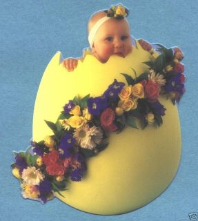 P3929 Anne Geddes Postcard Baby in An Egg with Flowers