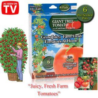 As Seen on TV Giant Tomato Tree Pots Brand New