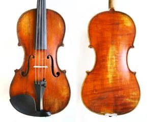 this violin has the trademark gemunder medium orange brown varnish