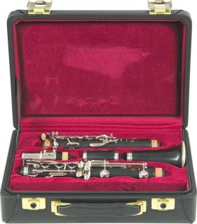 2012 Buffet Crampon R13 BB Professional Clarinet Outfit Greenline
