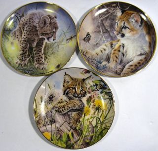   Federation Collector plates Franklin Mint by Glen Loates Wild Cats 1