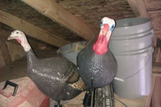 One Jake and One Hen Collapsible Turkey Decoys